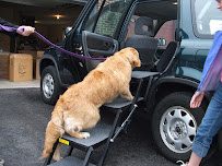 Pet Loader - Photo 5 - Car repair in Rockford, IL, Rockford