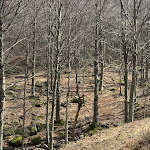 Photo n°5 de l'avis de Davide. fait le 16/04/2024 à 19:03 sur le  Rifugio Lagdei à Bosco