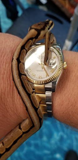 Pet Supply Store «Petco Animal Supplies», reviews and photos, 4011 Durham-Chapel Hill Blvd, Durham, NC 27707, USA