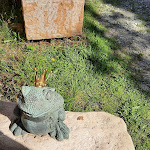 Photo n°13 de l'avis de Carmen.e fait le 10/09/2023 à 13:18 sur le  Café Winuwuk à Bad Harzburg