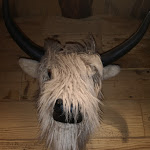 Photo n°3 de l'avis de Tobi.e fait le 16/10/2022 à 19:41 sur le  Kraxl Alm Erlebnisrestaurant, Freizeitpark Rutesheim à Rutesheim