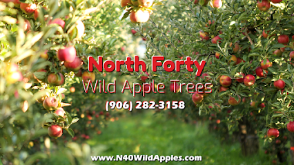 North Forty Wild Apple Trees