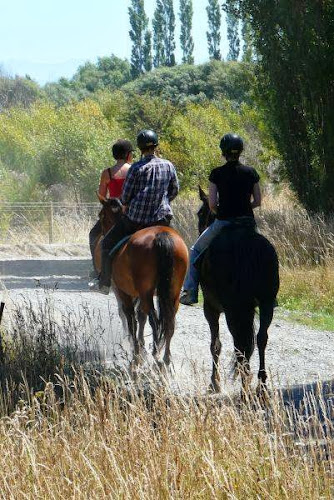 Reviews of Waimak River Riding Centre in Christchurch - Sports Complex