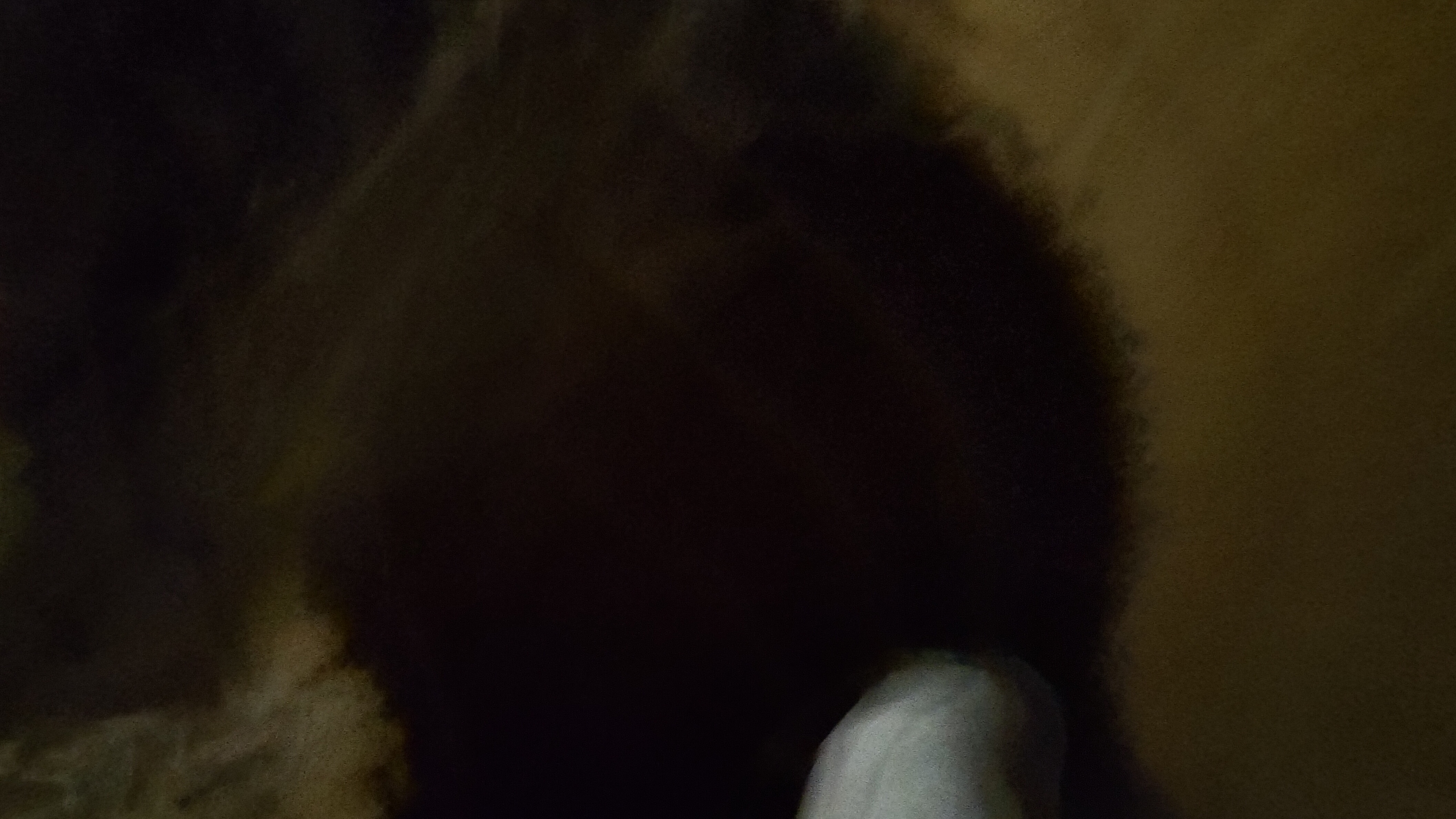 Photo n° 30 de l'avis de jean-philippe.a fait le 28/07/2021 à 15:21