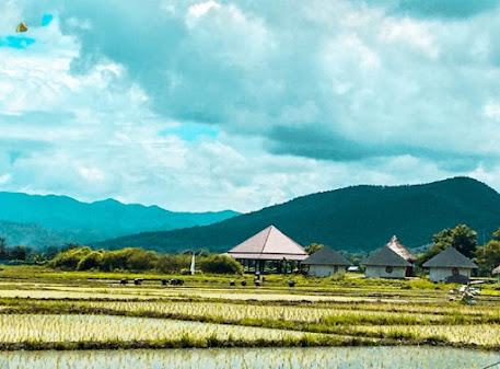 مالا دارا شيانغ ماي - Mala Dhara Chiang Mai
