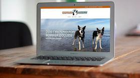 That'll Do Academy - Border Collie Specialist Trainer