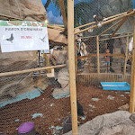 Photo n° 6 de l'avis de Guilher.a fait le 03/09/2022 à 17:28 pour Animalis Lognes à Lognes