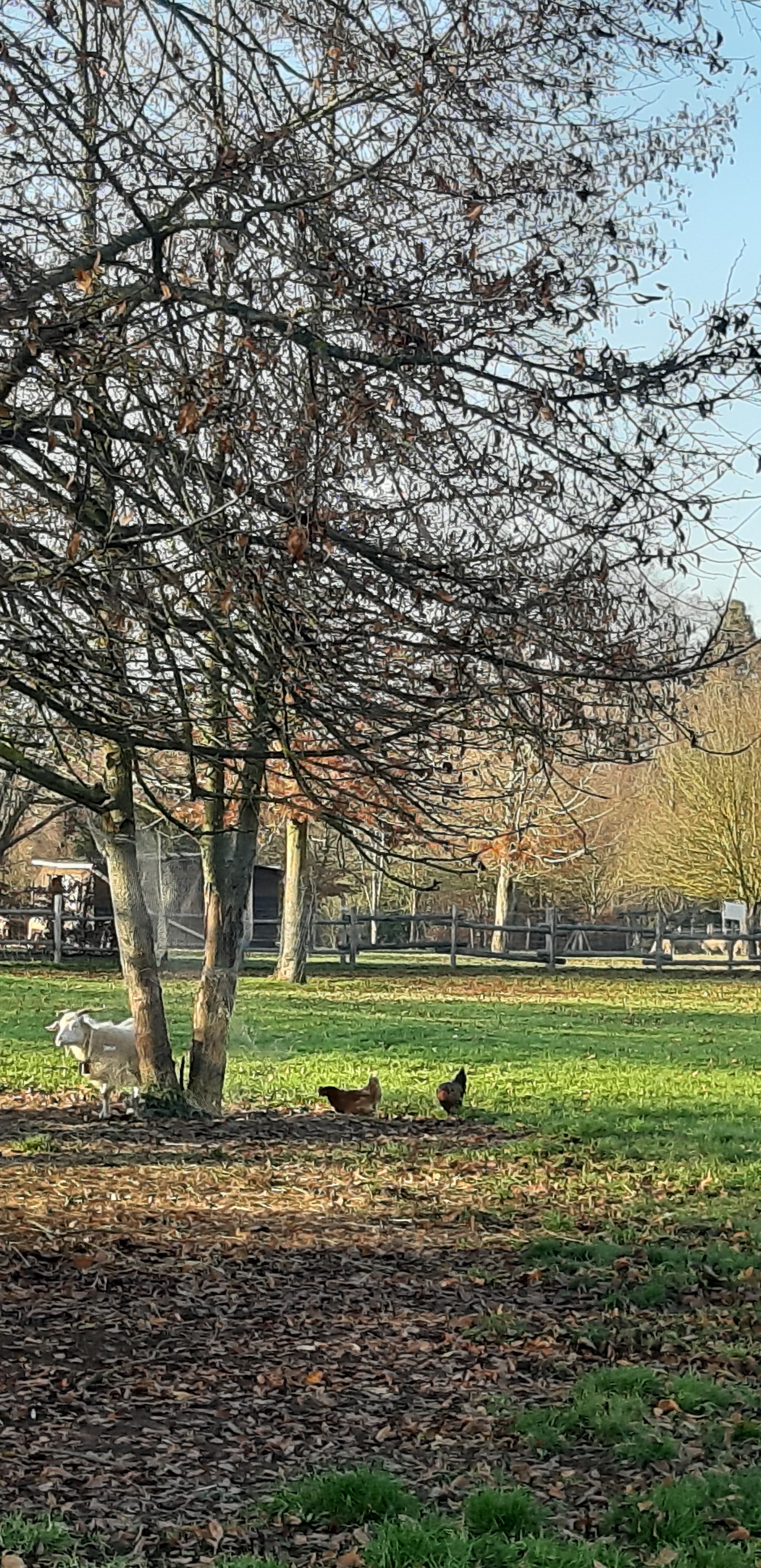 Photo n° 19 de l'avis de betty.o fait le 10/12/2019 à 11:19