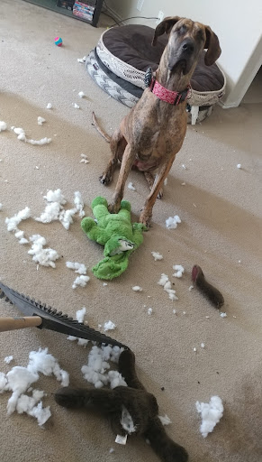 Thrift Store «Thrift City Inc», reviews and photos, 6804 Huebner Rd, San Antonio, TX 78238, USA