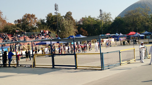 Patinodromo