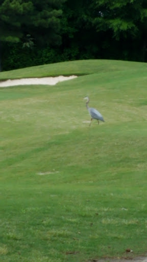 Golf Club «The Hooch Golf Club», reviews and photos, 2705 Peachtree Industrial Blvd, Duluth, GA 30097, USA