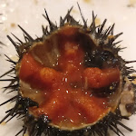 Photo n°2 de l'avis de Francesco.r fait le 05/02/2019 à 10:57 sur le  Al Sorso Preferito à Bari