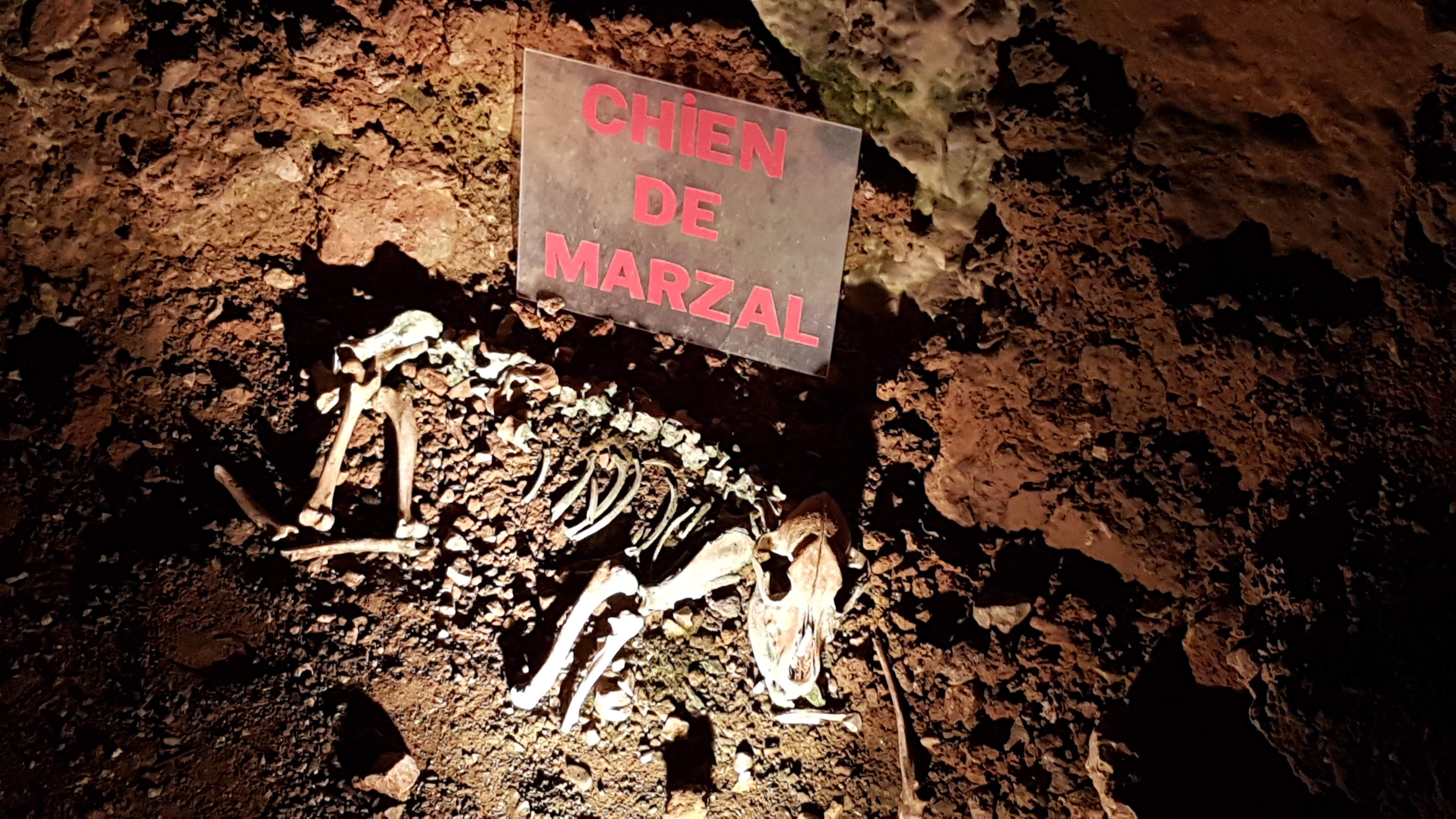 Photo n° 21 de l'avis de Philippe.l fait le 01/08/2018 à 20:49