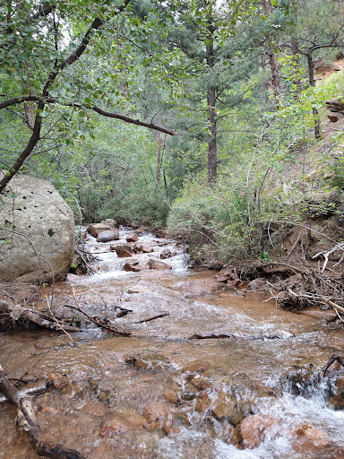 Buckhorn Cutoff Trailhead