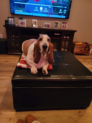 Pet Supply Store «Petco Animal Supplies», reviews and photos, 210 Nut Tree Pkwy, Vacaville, CA 95687, USA