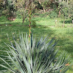 Photo n°17 de l'avis de Manfred. fait le 13/11/2022 à 23:10 sur le  Landgasthof Gänsberg à Wiesloch