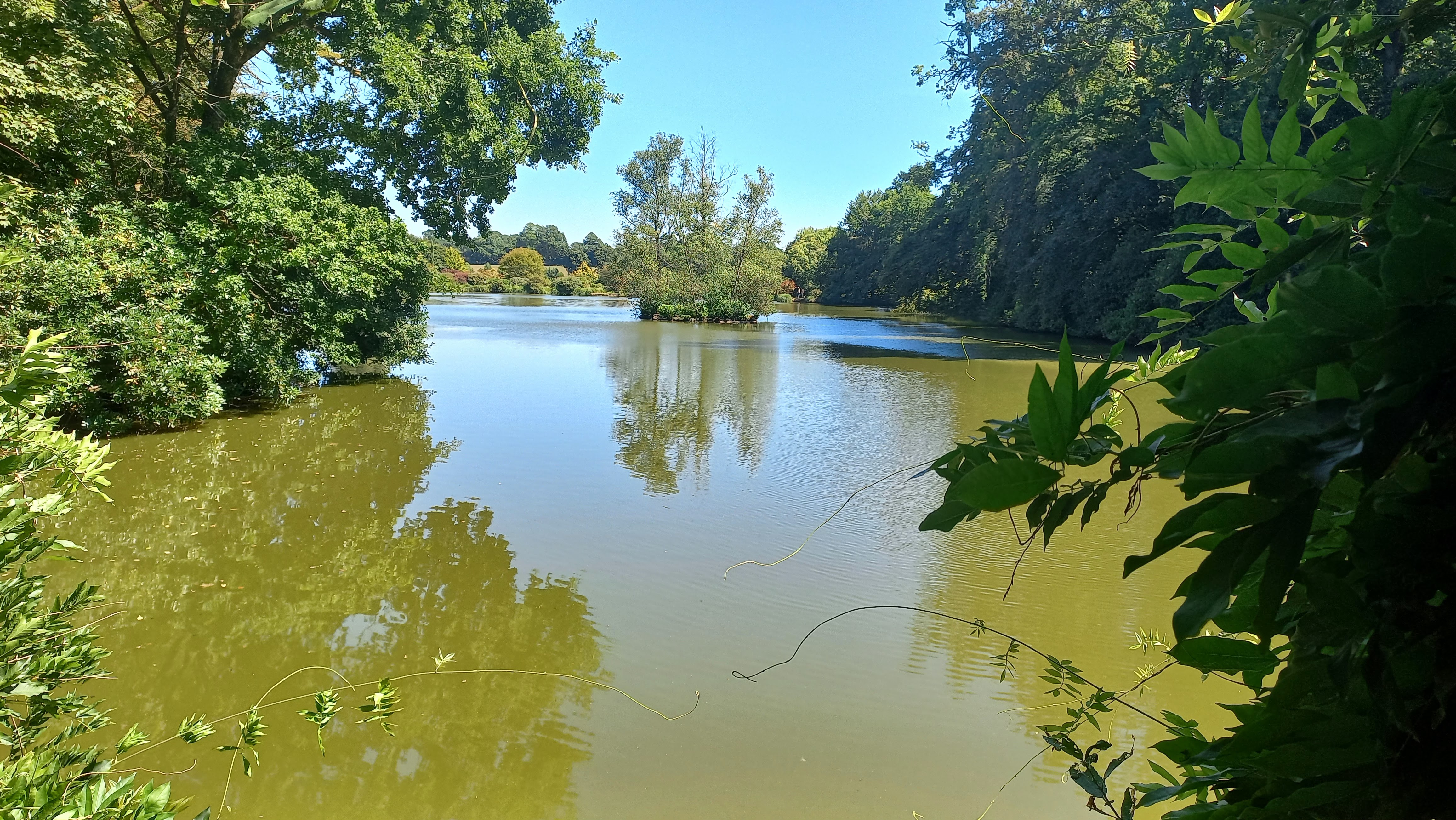 Photo n° 7 de l'avis de Michel.a fait le 07/08/2022 à 15:49