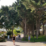 Photo n°9 de l'avis de Francesco.a fait le 17/08/2019 à 16:51 sur le  TUI BLUE Tropea à Riaci