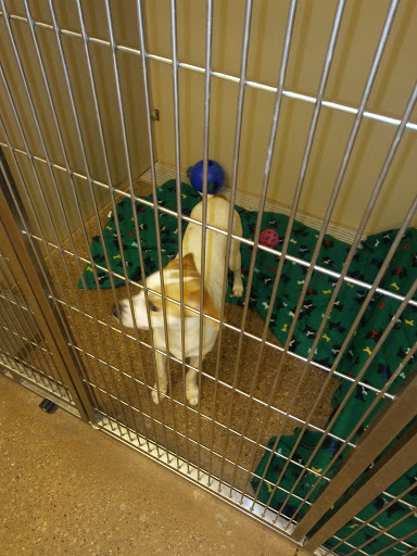 Pet Supply Store «PetSmart», reviews and photos, 1945 Pavilion Way, Lexington, KY 40509, USA