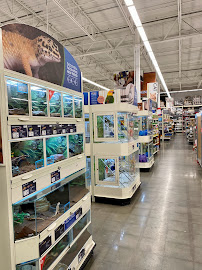 PetSmart - Photo 4 - Car repair in Denver, CO, Denver