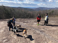 Allegiant K9s, LLC - Photo 8 - Car repair in , Gastonia