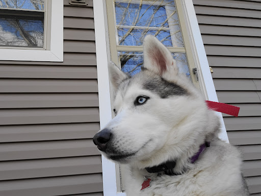 HarleyRoos Animal Kingdom