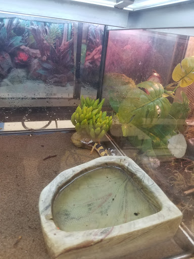 Pet Supply Store «Petco Animal Supplies», reviews and photos, 3380 124th Ave NW, Coon Rapids, MN 55433, USA