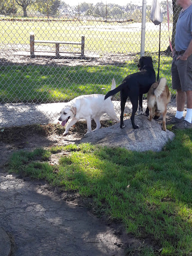 Park «Dog Park», reviews and photos, 1121 Locust St, Fall River, MA 02720, USA