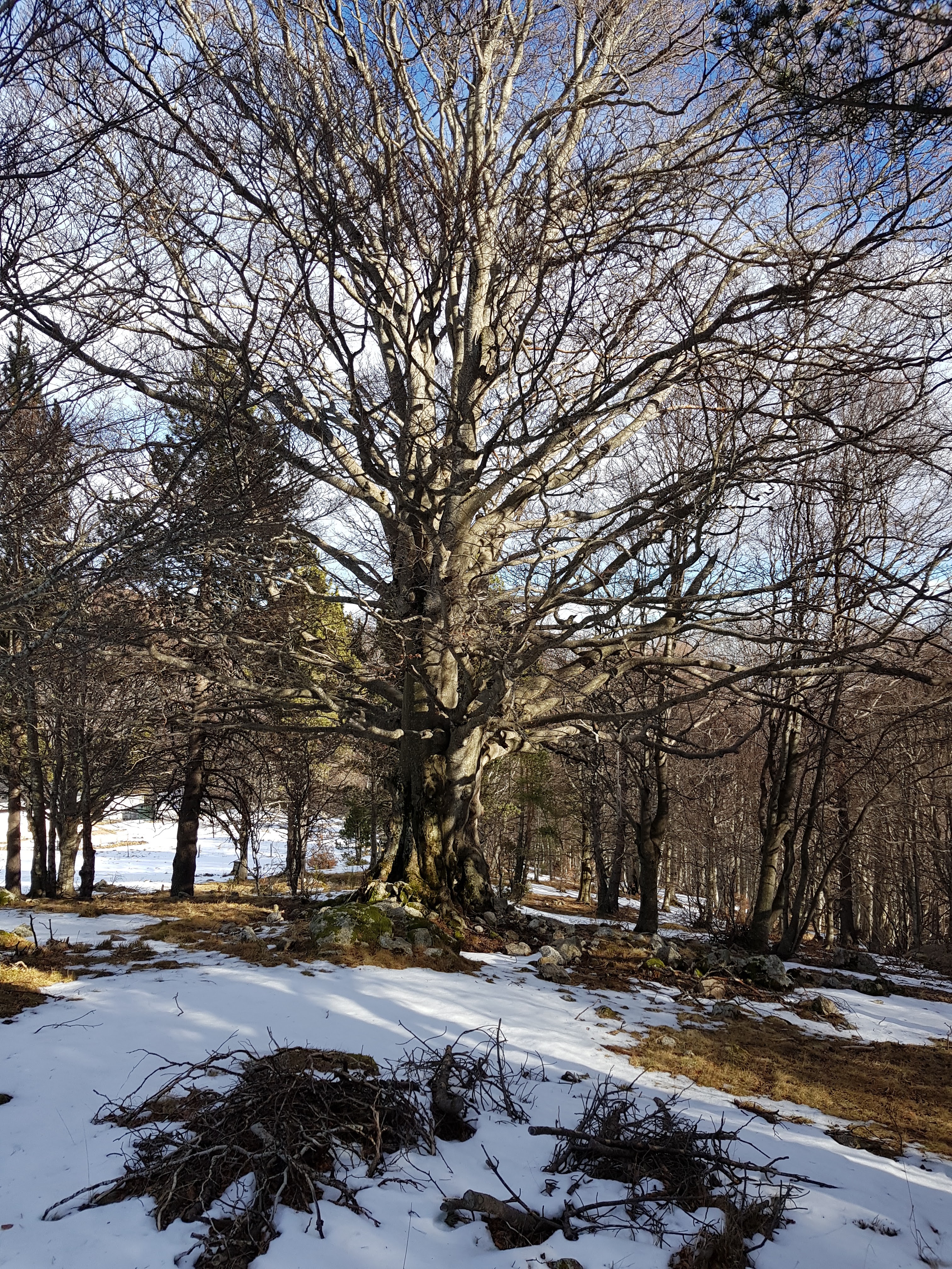 Photo n° 8 de l'avis de Delcourt.a fait le 12/04/2018 à 09:58