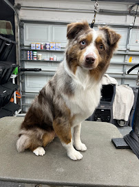 R&B Grooming Services