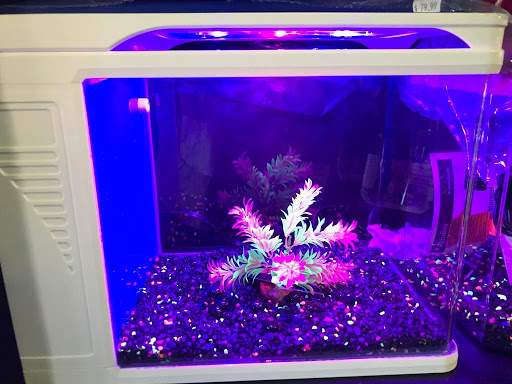 Pet Supply Store «E & M Pet Shop», reviews and photos, 5900 Whittier Blvd, Los Angeles, CA 90022, USA