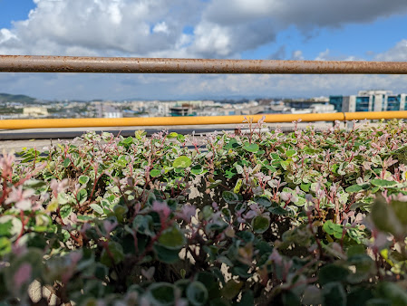 Google Maps image 28