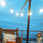 Photo n°1 de l'avis de Abele.u fait le 30/12/2022 à 18:06 sur le  Tiki Beach à Loano