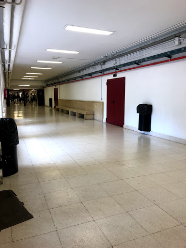 Complutense University of Madrid