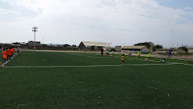 Cancha de Fútbol Colegio Torbay