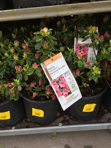 Home Improvement Store «The Home Depot», reviews and photos, 2220 N Coit Rd, Richardson, TX 75080, USA