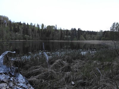 Photos of ujumiskoht