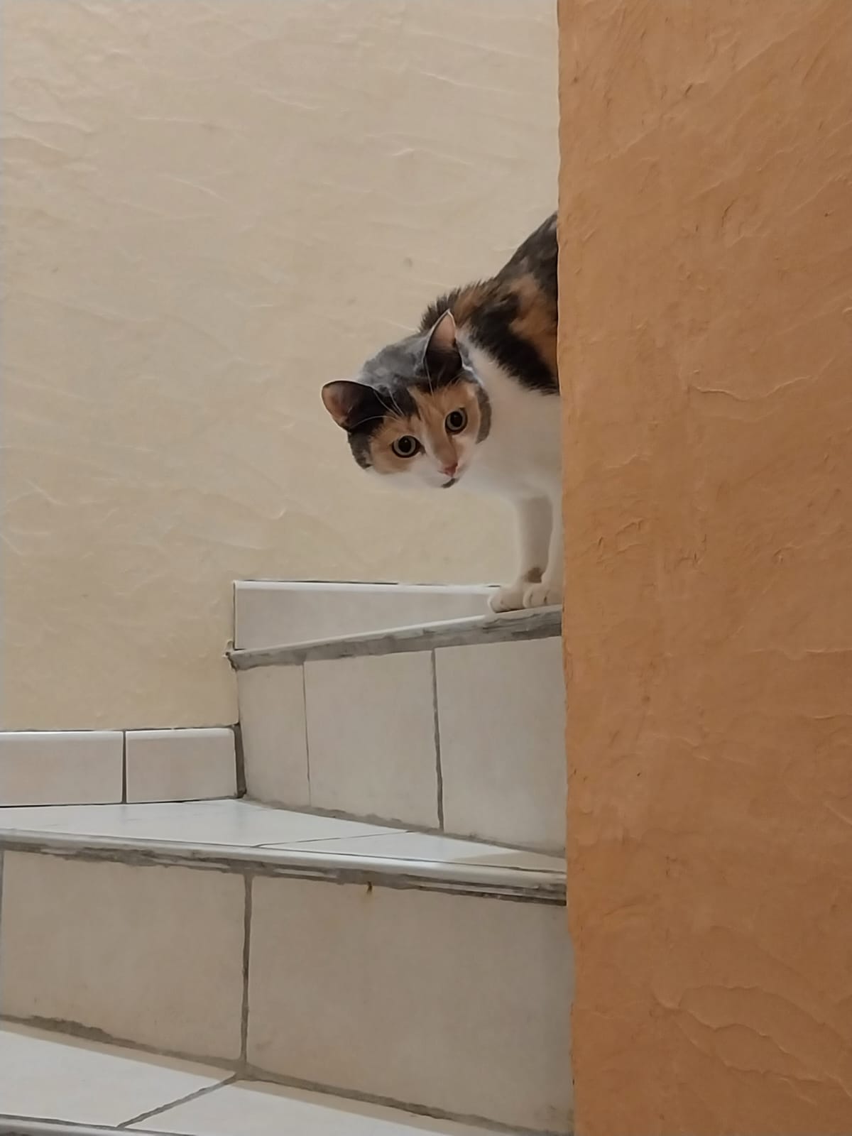 Photo n° 6 de l'avis de Deydey. fait le 28/11/2023 à 13:37