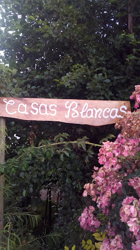 Casas Blancas - Hualqui