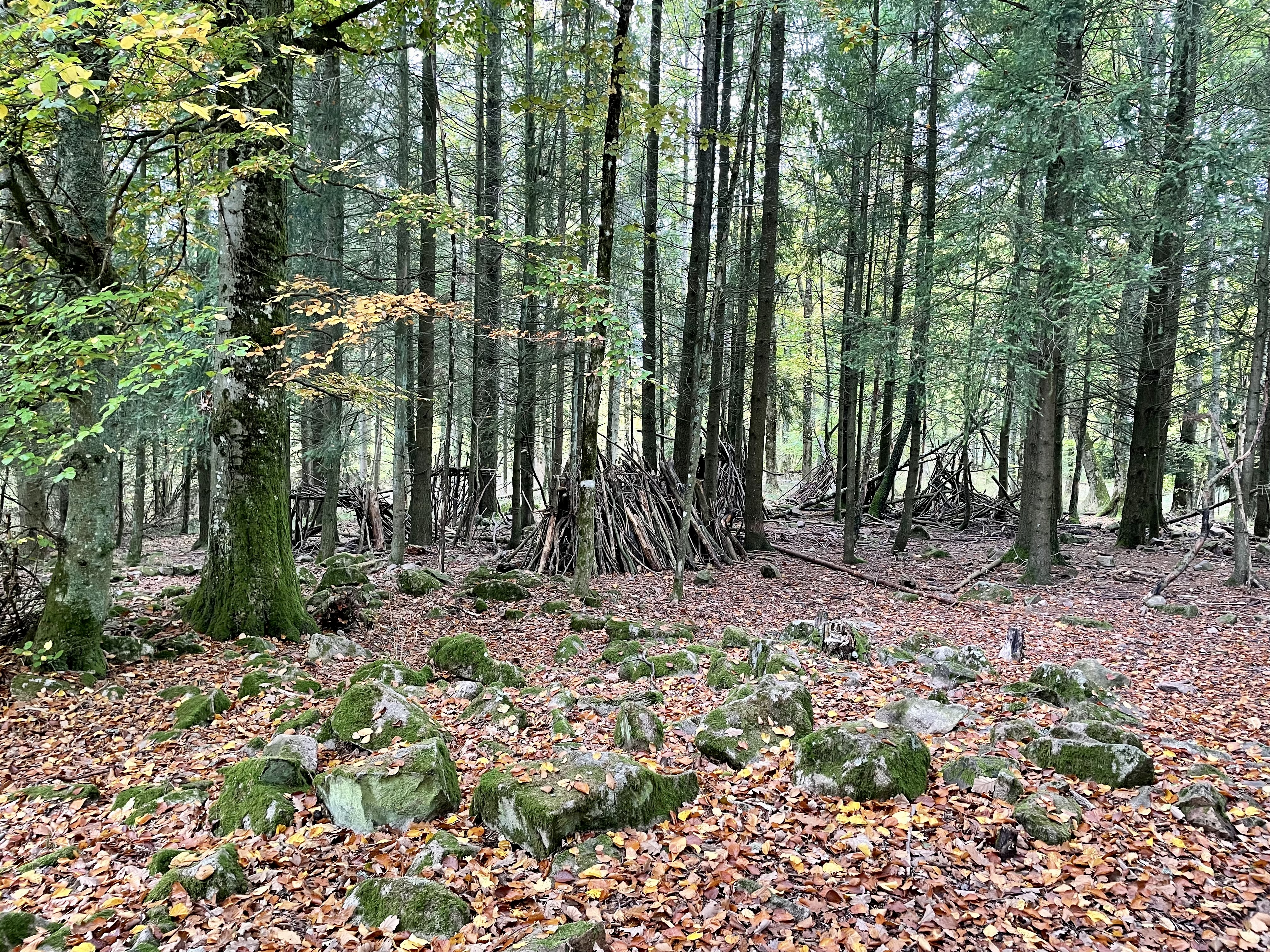 Photo n° 14 de l'avis de Caro.e fait le 23/10/2022 à 16:41