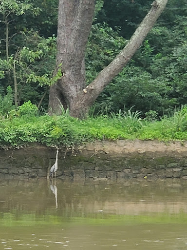 Boat Ramp «Bladensburg Waterfront Park», reviews and photos, 4601 Annapolis Rd, Bladensburg, MD 20710, USA