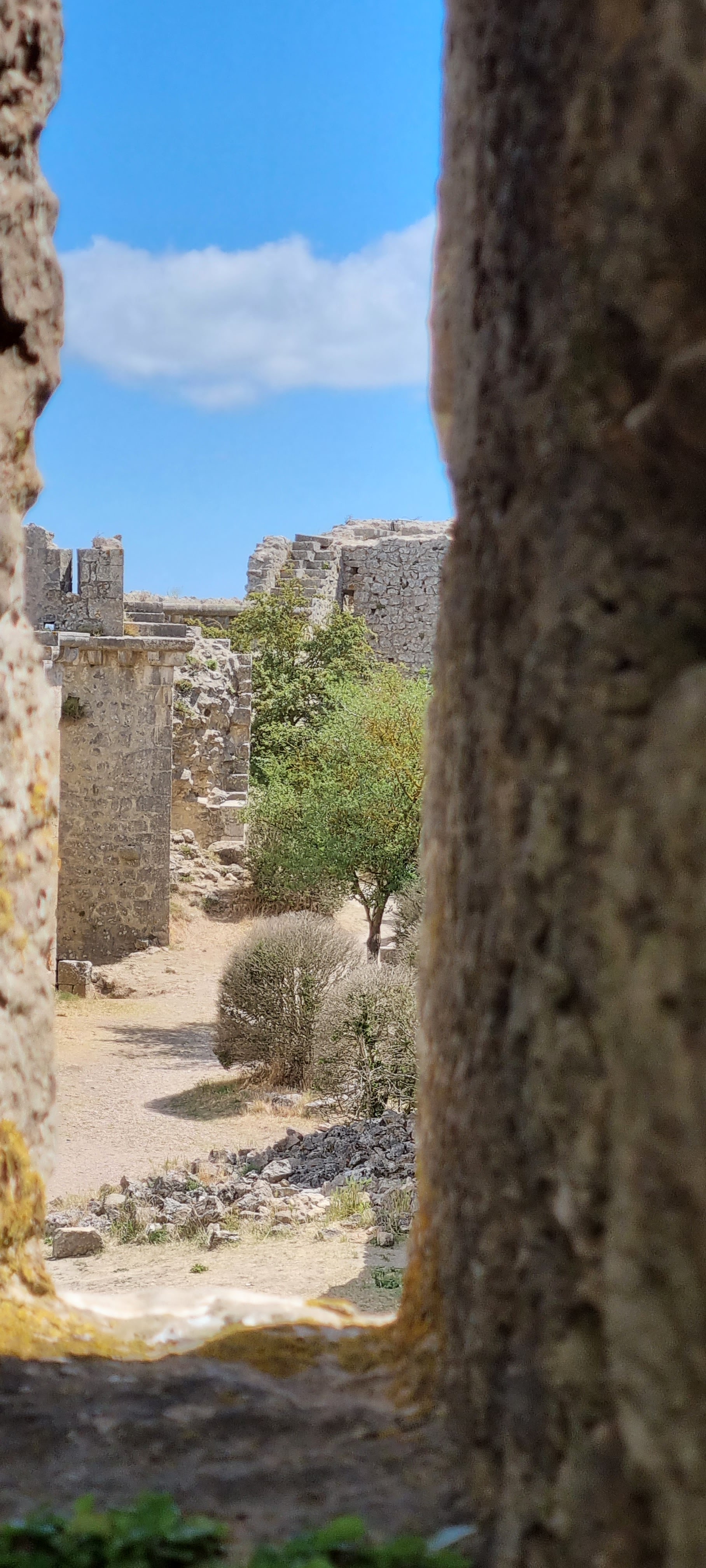 Photo n° 2 de l'avis de Joël.a fait le 19/08/2021 à 20:15