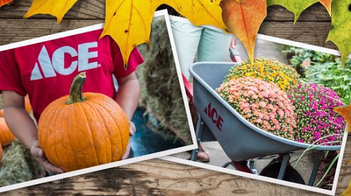 Hardware Store «Richland Ace Hardware», reviews and photos, 6401 Charlotte Pike, Nashville, TN 37209, USA