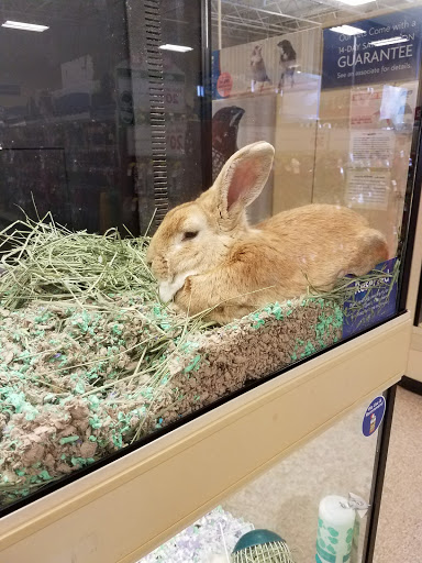 Pet Supply Store «PetSmart», reviews and photos, 2122 N 2nd St, Millville, NJ 08332, USA