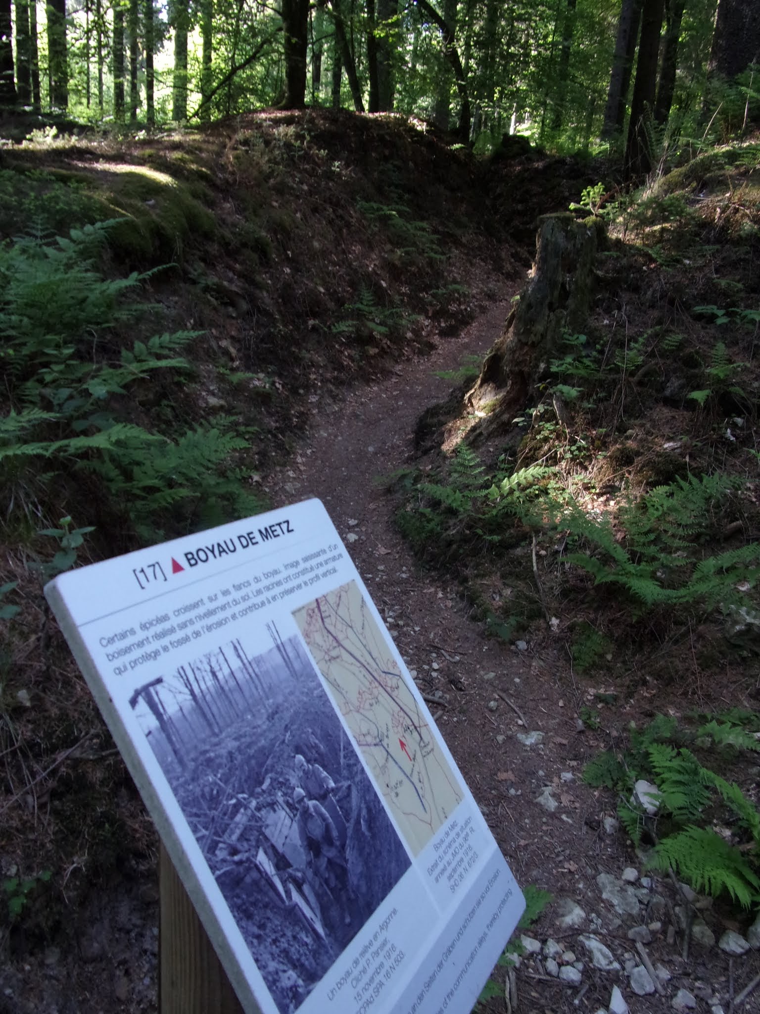 Photo n° 21 de l'avis de Thierry.o fait le 17/05/2018 à 02:49