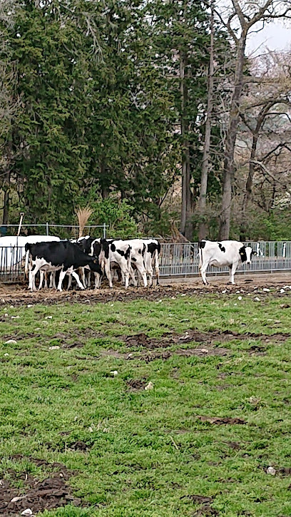 畜産酪農研究センター