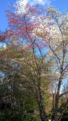 Golf Club «Rivermont Golf and Country Club», reviews and photos, 3130 Rivermont Pkwy, Johns Creek, GA 30022, USA