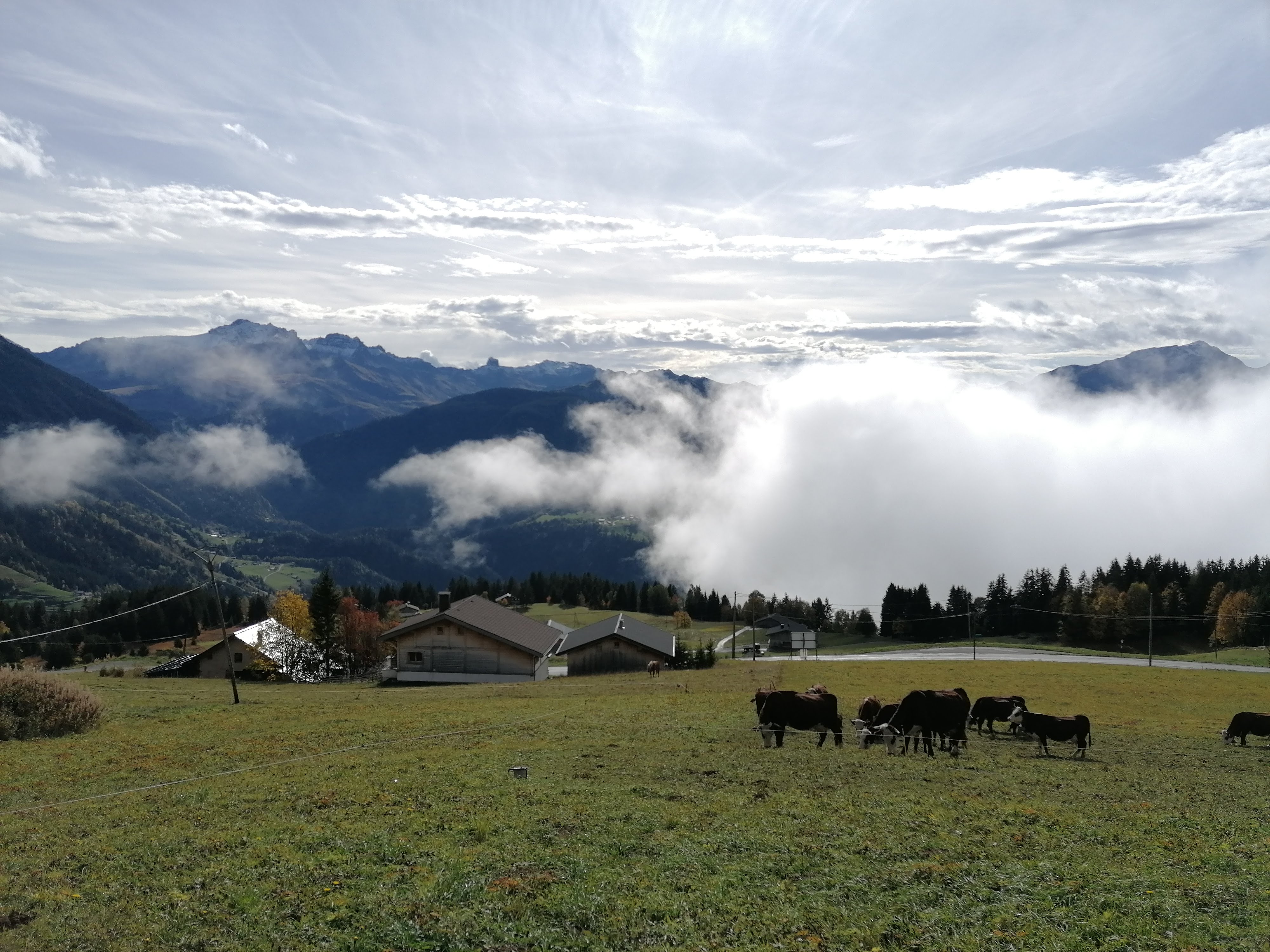 Photo n° 5 de l'avis de kuba. fait le 07/11/2019 à 11:06