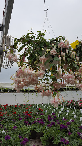 Garden Center «Nanticoke Gardens», reviews and photos, 1543 Union Center Maine Hwy, Endicott, NY 13760, USA