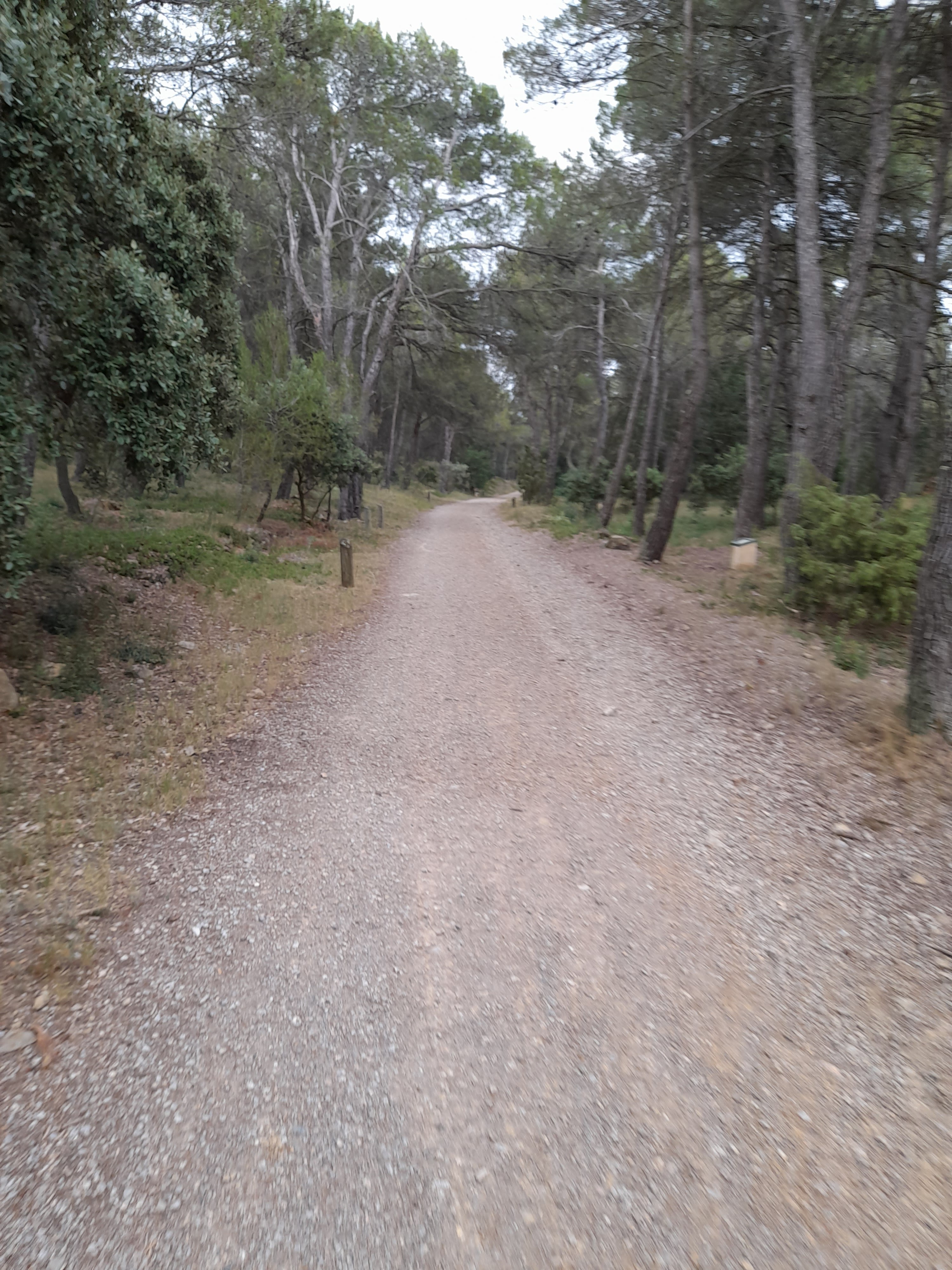 Photo n° 1 de l'avis de Bilbon.A fait le 20/06/2022 à 20:00